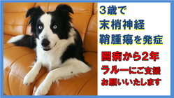 ※３歳で発症【悪性末梢神経鞘腫瘍】手術費用ご支援のお願い のトップ画像