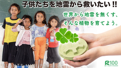 子供たちを地雷から救いたい！！世界から地雷をなくす植物を育てよう。 のトップ画像