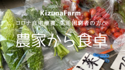 コロナ自宅療養、買い物が不自由の方に新鮮な野菜を提供したい のトップ画像