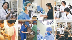 出産や子育てでキャリアを諦めない。女性研究者へ、研究継続の支援を！ のトップ画像