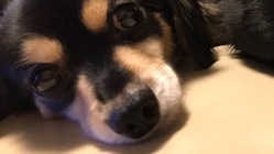 術後初めて会えました^_^