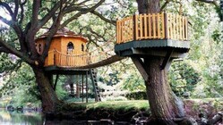 ツリーハウス建設資金 のトップ画像