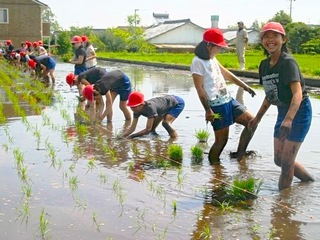 宮崎県綾町で無農薬天日干しの米作り！リスク分散型の農業を実践 のトップ画像