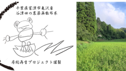【農薬無散布】房総の里山の保全・生命の多様性を復元する米作り  のトップ画像