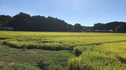 南相馬市に東日本大震災伝承施設を作りたい のトップ画像