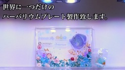 世界に一つだけのハーバリウムプレート製作致します！ のトップ画像