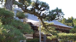 450年前の寺院建築に再生したい のトップ画像