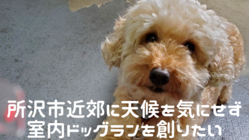 所沢市近郊に天候を気にせず安心、安全な室内ドッグランを創りたい のトップ画像