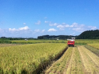 千葉県四街道にお米を育てる農業法人を作ります！！ のトップ画像
