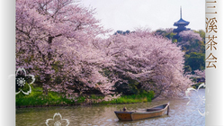 100年続くArt茶会「三溪茶会」を横浜三溪園で開きたい。 のトップ画像