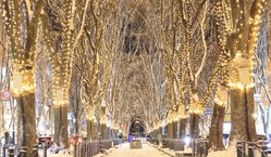 2021SENDAI光のページェント開催へ！ のトップ画像