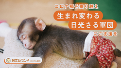 日光さる軍団｜動物たちの楽園を創造する。日本一の動物エンタメ施設へ のトップ画像