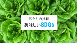美味しい！がちからに。人と環境に優しい農法で未来に挑戦！ のトップ画像