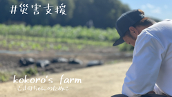 kokoro's farm 亡き母ちゃんのために　～3度目の水害～ のトップ画像