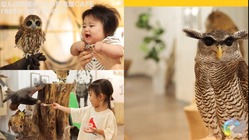 これからも動物と子供たちの笑顔を同じ空間に。 のトップ画像