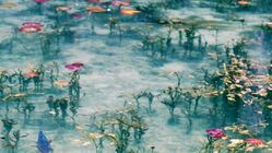 新規プロジェクト-2021/10/05 のトップ画像