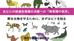野生生物消費の「無意識の欲求」を知って野生生物を保全する！ のトップ画像