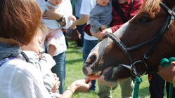 ネクストゴールに向けてのお願いです！！