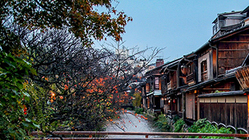 今まで働き詰めだった母の為 のトップ画像