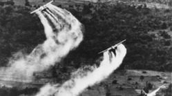 ベトナム戦争の負の遺産を乗り越えて―その軌跡をたどる名著を翻訳する のトップ画像