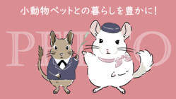 小動物特化型アプリ開発｜ペットの飼育情報収集をもっと簡単・快適に！ のトップ画像