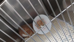 尿管閉塞　腎不全　手術費、治療費のご支援を願います。 のトップ画像