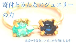 寄付とみんなのジュエリーの力 のトップ画像