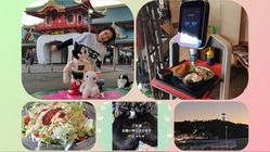 江の島にロボットと触れ合える、飲食+αの空間を創りたいにゃん♪ のトップ画像