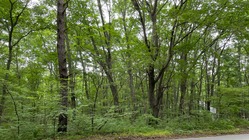 １日１組限定の会員制プライベートキャンプ場、第一弾＠北軽井沢 のトップ画像