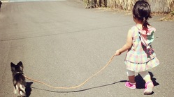 母子家庭トリミングサロン開業のご支援ご協力を宜しくお願い致します のトップ画像