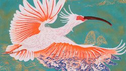 はんが甲子園 のトップ画像