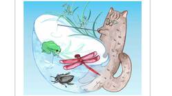 イリオモテヤマネコも狩りに立ち寄れる水生昆虫「保全池」プロジェクト のトップ画像