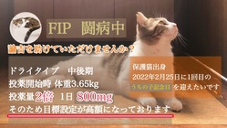 FIPと闘う保護猫出身の諭吉を助けてください！