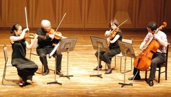 プロ演奏家との室内楽交流サロン のトップ画像