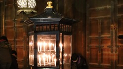 733年天皇様の命を受け建立された長谷寺に永代供養塔を。 のトップ画像