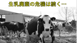 【酪農×医療支援】医療機関に乳製品を届けたい。 のトップ画像