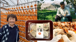 干し柿の仕上げもみ機械を開発したい のトップ画像