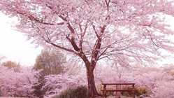 先生を目指し大学へ通うための学費を手助けしてください！ のトップ画像