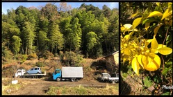 新規で開設した車中泊スポットの拡充支援 のトップ画像