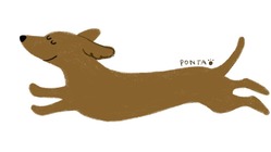 保護犬猫支援[PONTAプロジェクト]立ち上げます のトップ画像