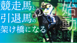 東映AG×角居調教師｜競走馬と引退馬の名馬グッズプロジェクト のトップ画像