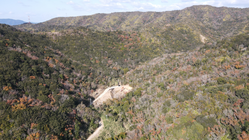 海遊びや山遊びを満喫出来るオートキャンプ場を！ のトップ画像