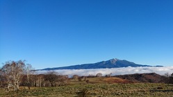 飛騨高山の森林を保護したい！災害による倒木を処理し復旧させる！ のトップ画像