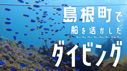 松江市島根町、海の魅力溢れる地で船を活かしたダイビング体験作りたい のトップ画像