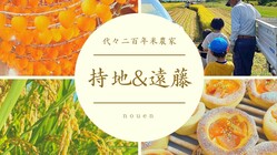 伊達市自慢のあんぽ柿を若い世代にも美味しく味わってもらいたい のトップ画像