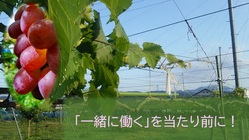 農福連携を広めて「障がいのある人と一緒に働く」を当たり前に！ のトップ画像