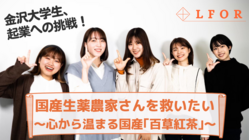 金沢大学発スタートアップ　国産「百草紅茶」で地元生薬農家を救いたい のトップ画像