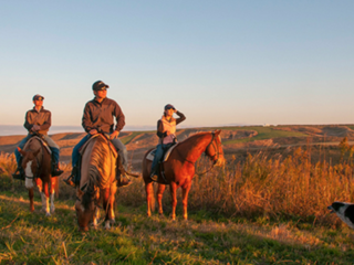 美しい阿蘇で非日常の乗馬体験の出来るエルパティオ牧場の復興へ のトップ画像