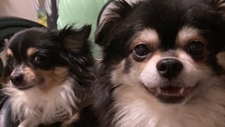 悔いを繰り返さないために・・・ のトップ画像