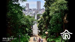 みんなで市川市にビール醸造所（ブルワリー） を作ろう！ のトップ画像